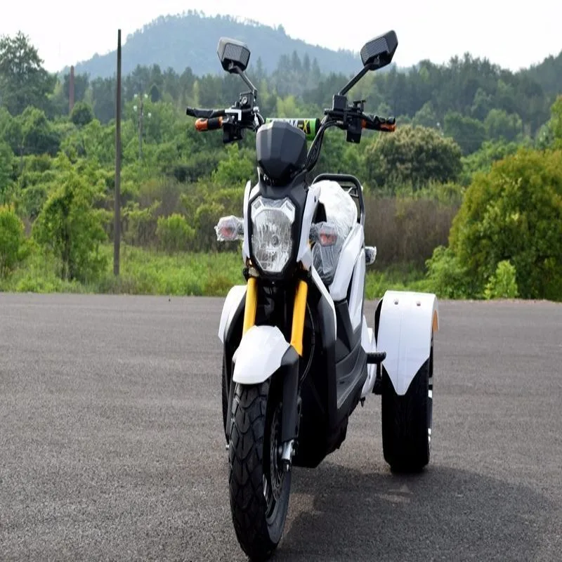 Elektrische driewieler voor volwassenen voor off-road gebruik | Krachtige 3-wiel elektrische driewieler & betaalbare goedkope elektrische driewieler aangedreven door een 70V batterij - Afbeelding 4