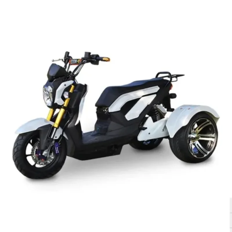 Elektrische driewieler voor volwassenen voor off-road gebruik | Krachtige 3-wiel elektrische driewieler & betaalbare goedkope elektrische driewieler aangedreven door een 70V batterij - Afbeelding 5