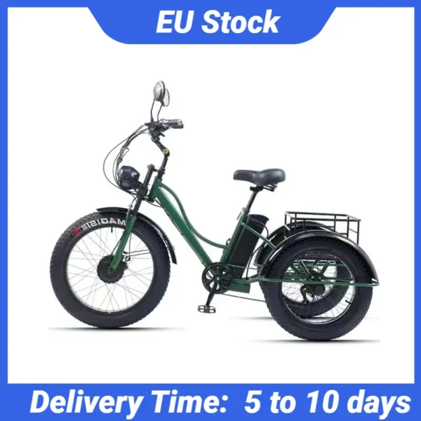 48 V 750 W Elektrische Fiets Voor Man Krachtige 24 Inch Fat Tire Fiets All Terrain Elektrische Driewielers 3 Wielen voor Volwassenen Ouderen